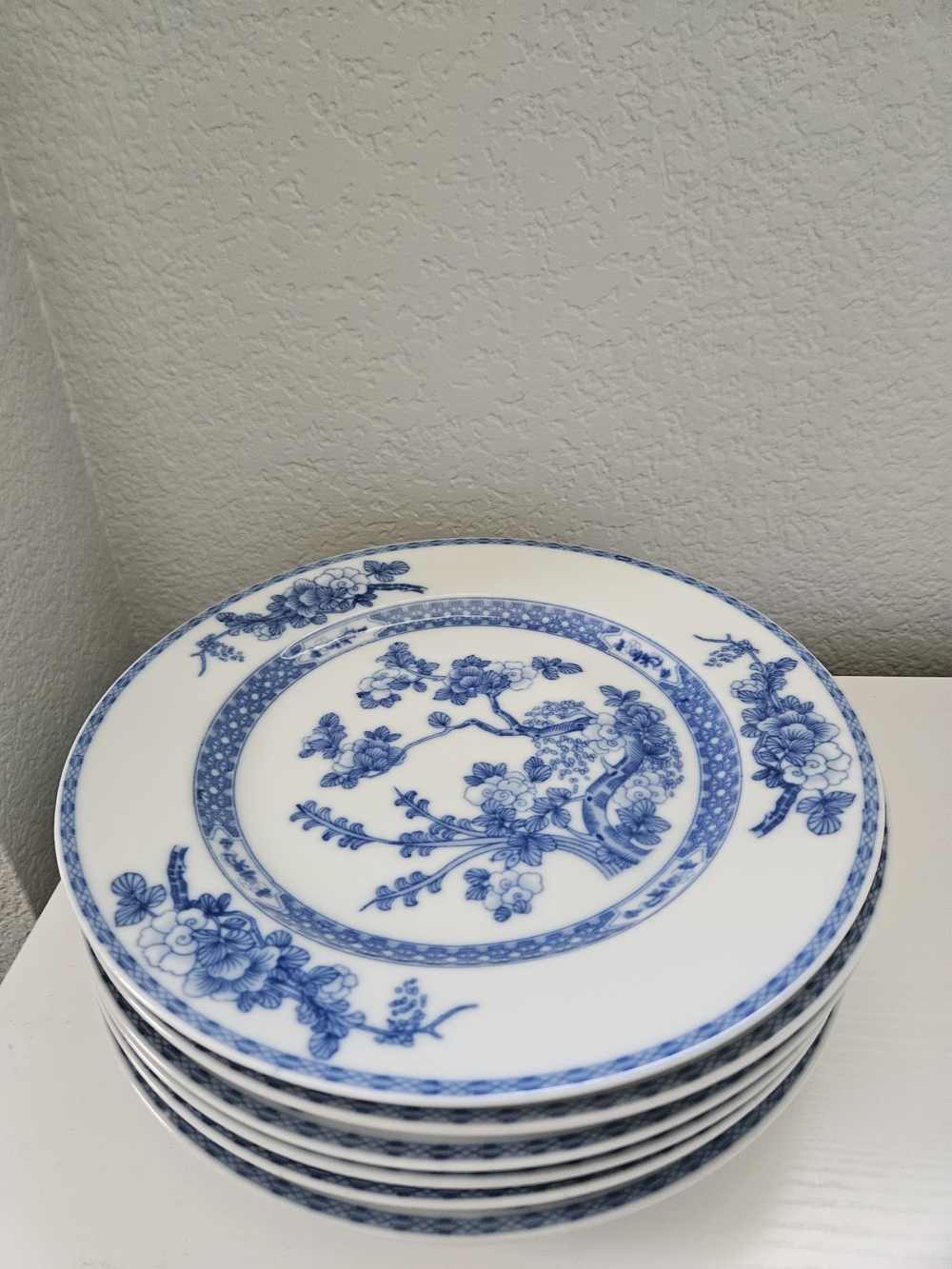 Rosenthal Selb Bavaria Continental Porcelain Dinner Plates - Set Of 6